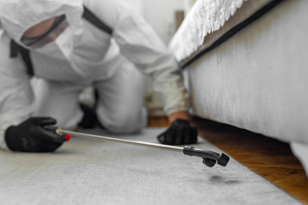 Professional Bed Bug Control technician working in North Brooksville, FL
