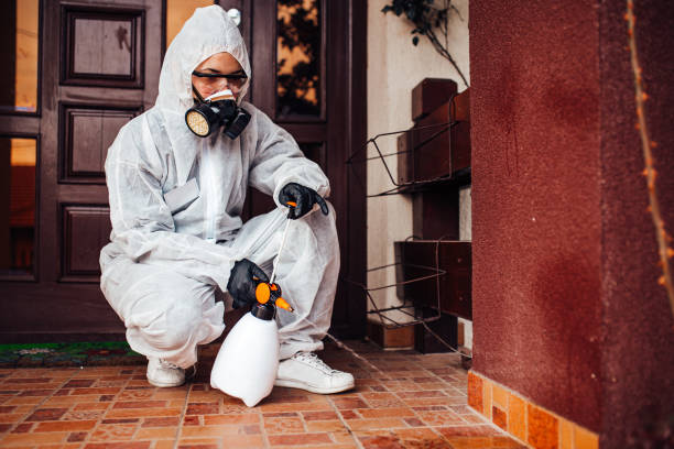 Reliable Bed Bug Control contractor in North Brooksville, FL by Nex Pest Control